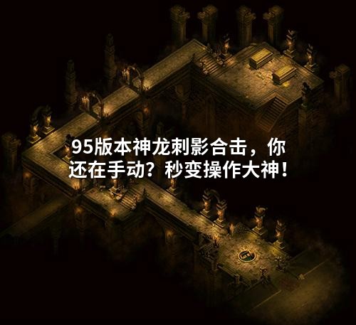 95版本神龙刺影合击，你还在手动？秒变操作大神！