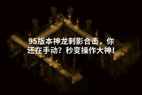 95版本神龙刺影合击,你还在手动?秒变操作大神!