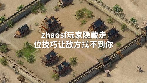zhaosf玩家隐藏走位技巧让敌方找不到你