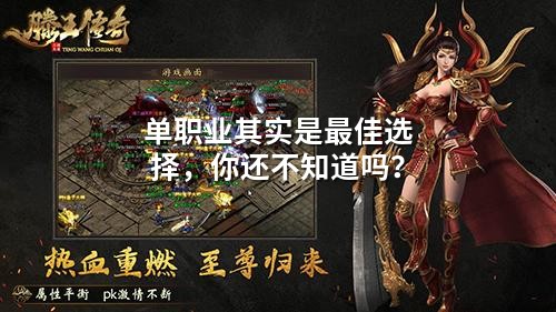 单职业其实是蕞佳选择,你还不知道吗?