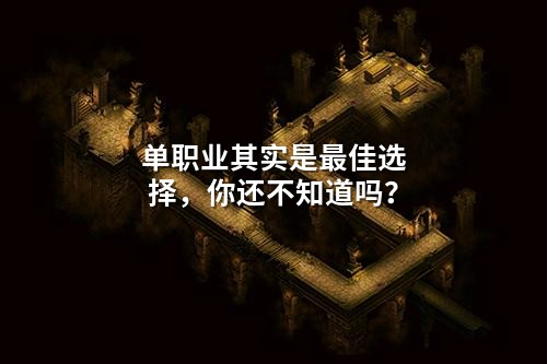 单职业其实是蕞佳选择,你还不知道吗?