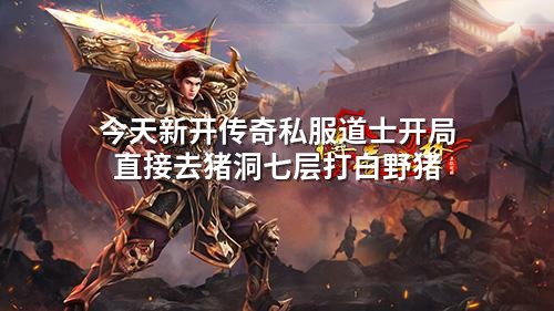 今天新开传奇私服道士开局 直接去猪洞七层打白野猪