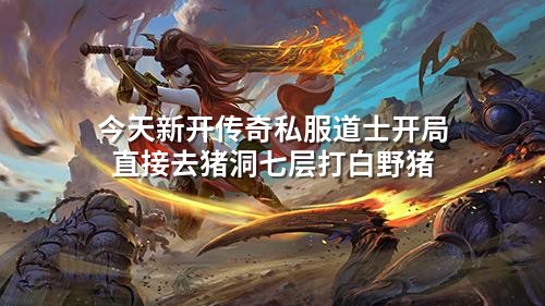 今天新开传奇私服道士开局 直接去猪洞七层打白野猪