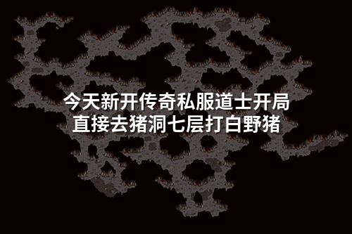 今天新开传奇私服道士开局 直接去猪洞七层打白野猪