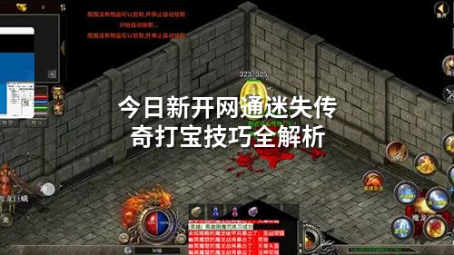 今日新开网通迷失传奇打宝技巧全解析
