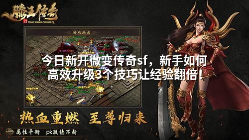 今日新开微变传奇sf,新手如何高效升级3个技巧让经验翻倍!
