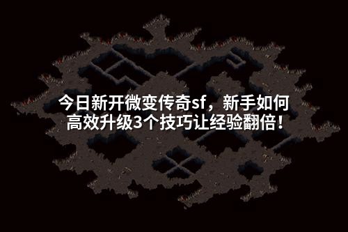 今日新开微变传奇sf,新手如何高效升级3个技巧让经验翻倍!