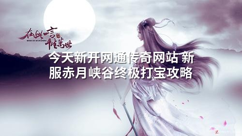 今天新开网通传奇网站 新服赤月峡谷终极打宝攻略