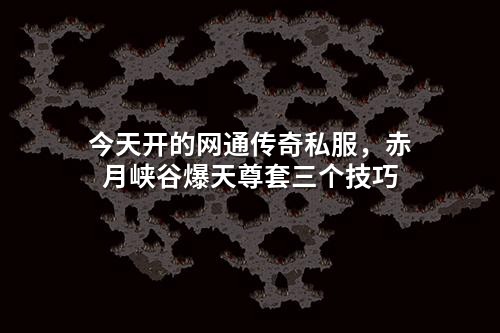 今天开的网通传奇私服，赤月峡谷爆天尊套三个技巧
