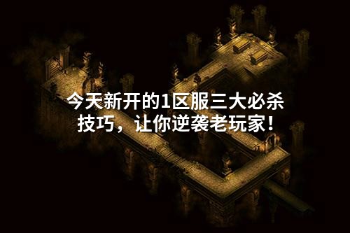 今天新开的1区服三大必杀技巧，让你逆袭老玩家！