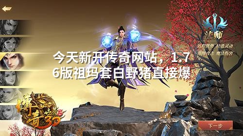 今天新开传奇网站，1.76版祖玛套白野猪直接爆