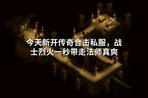 今天新开传奇合击私服,战士烈火一秒带走法师真爽