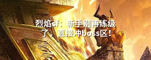 烈焰sf:新手别再练级了,直接冲boss区!