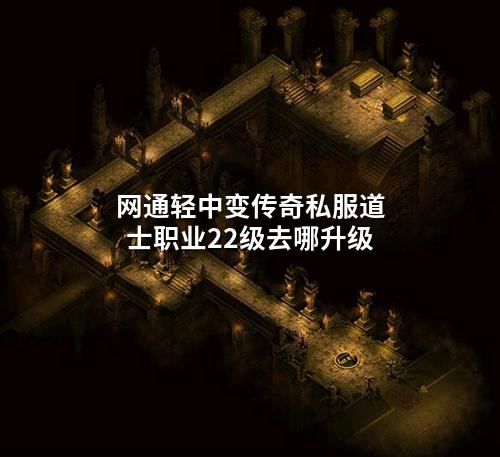 网通轻中变传奇私服道士职业22级去哪升级
