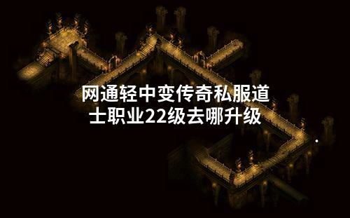 网通轻中变传奇私服道士职业22级去哪升级