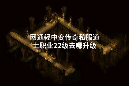 网通轻中变传奇私服道士职业22级去哪升级