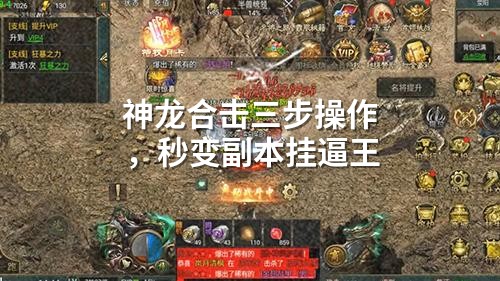 神龙合击三步操作，秒变副本挂逼王