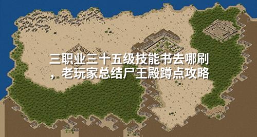 三职业三十五级技能书去哪刷,老玩家总结尸王殿蹲点攻略