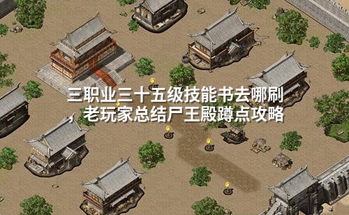 三职业三十五级技能书去哪刷,老玩家总结尸王殿蹲点攻略