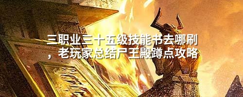 三职业三十五级技能书去哪刷,老玩家总结尸王殿蹲点攻略